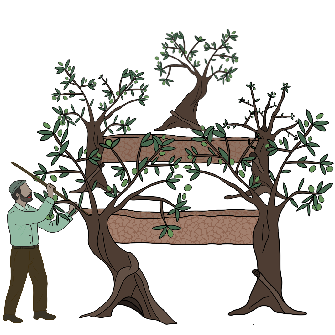 Five generations of the Abou Gaida family cultivating olives in Taïm Valley, South Lebanon