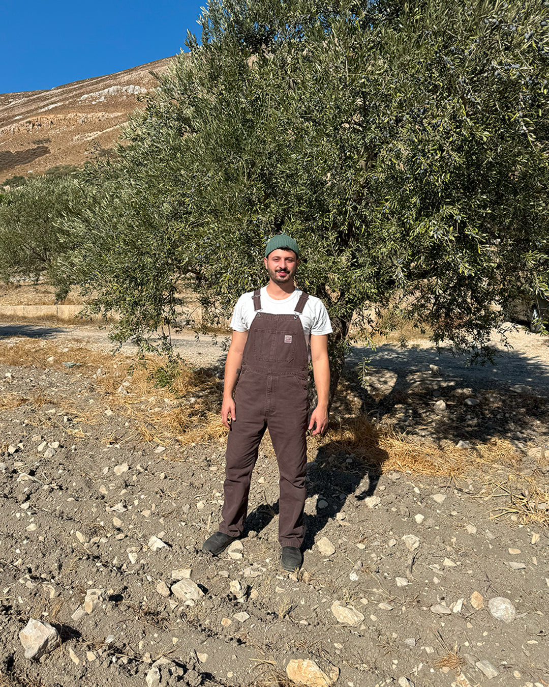 Iyad Abou Gaida, farmer and co-founder of Taïm Olive, continuing his family's farming tradition