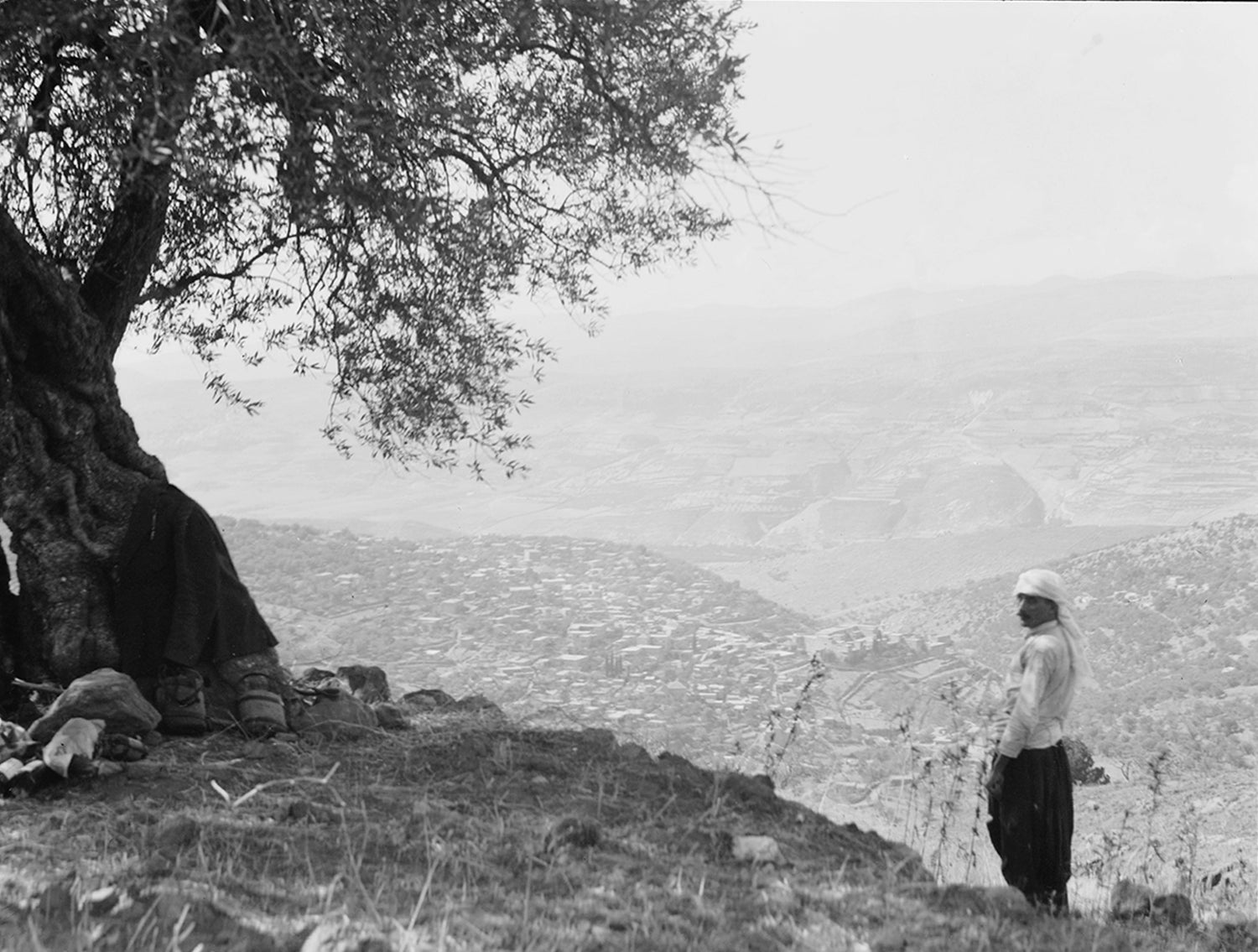 Taïm Valley in Hasbaya, South Lebanon, home to the Abou Gaida family olive groves